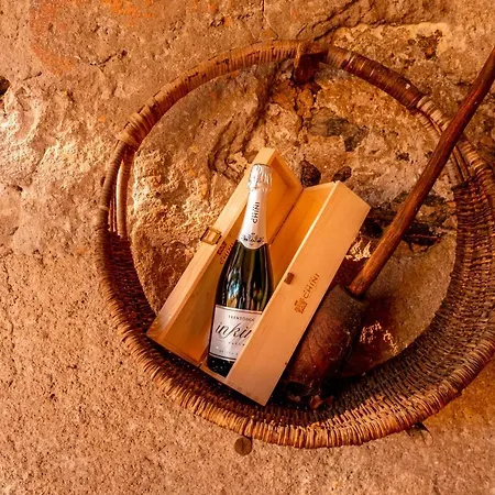 Alloggio per agriturismo Mas Dei Chini *