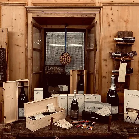 Alojamento de Turismo Rural Mas Dei Chini *