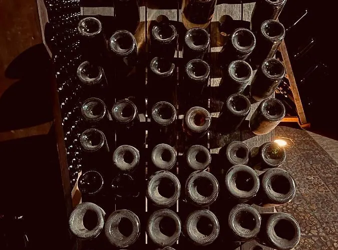 Mas Dei Chini Agroturismo *