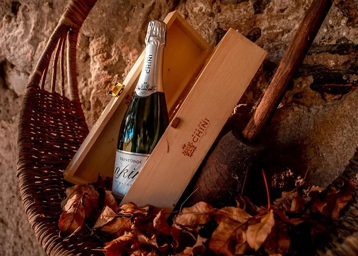 בית חווה Mas Dei Chini *